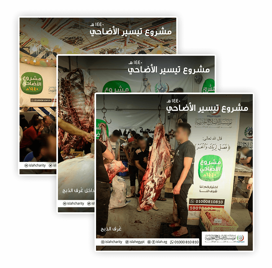 مشروع تيسير الأضاحي مشروع تيسير الأضاحي