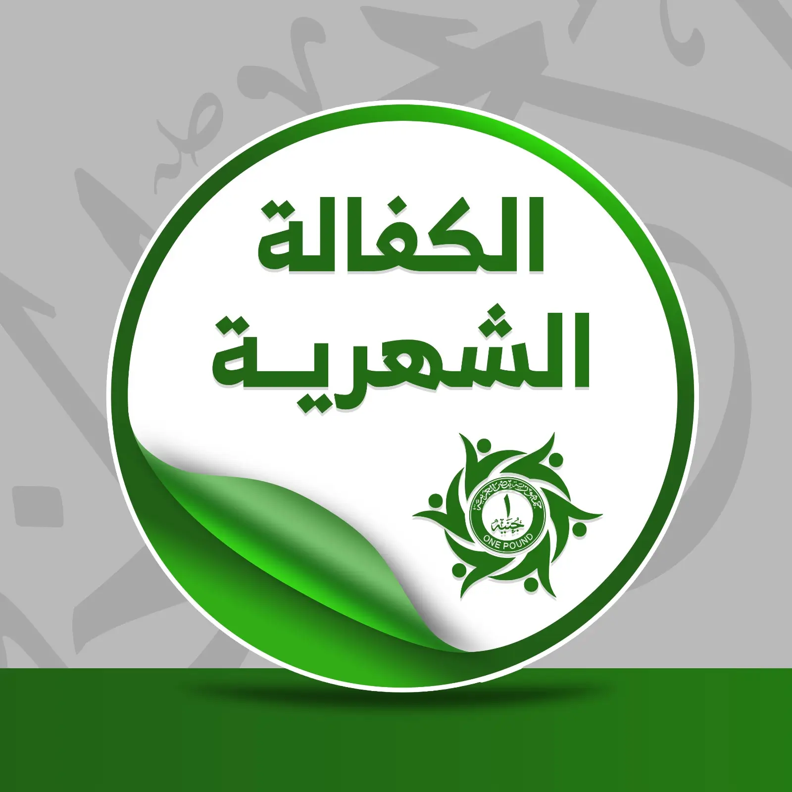 ش.ش.س.ع (المطلوب 18,000ج)